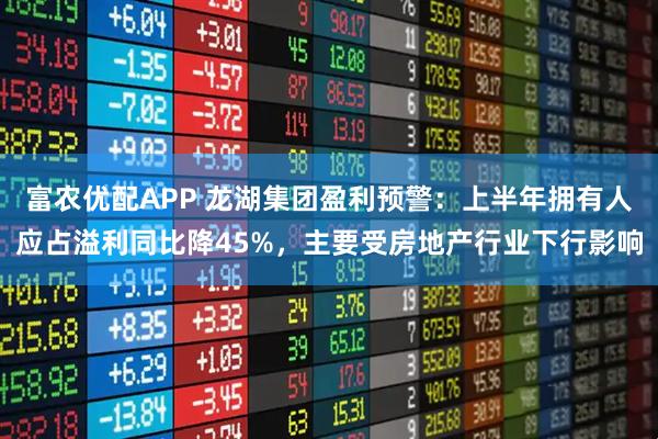 富农优配APP 龙湖集团盈利预警：上半年拥有人应占溢利同比降45%，主要受房地产行业下行影响