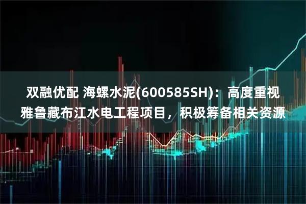双融优配 海螺水泥(600585SH)：高度重视雅鲁藏布江水电工程项目，积极筹备相关资源