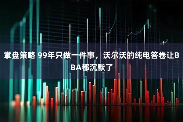 掌盘策略 99年只做一件事，沃尔沃的纯电答卷让BBA都沉默了