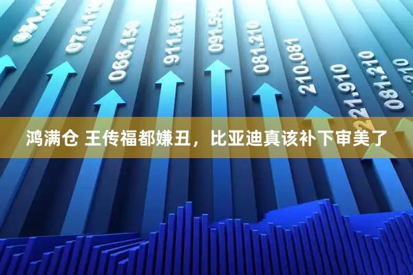 鸿满仓 王传福都嫌丑，比亚迪真该补下审美了