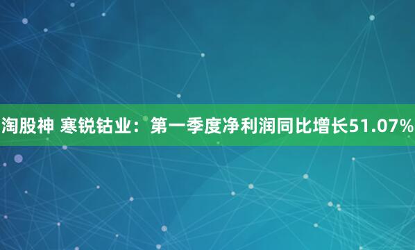 淘股神 寒锐钴业：第一季度净利润同比增长51.07%
